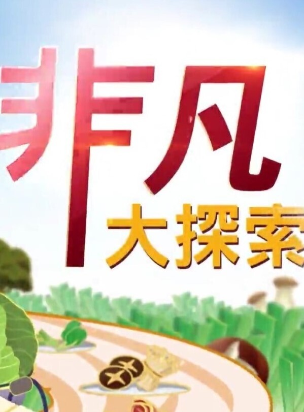 千萬粉絲網紅「23分鐘淫片外流」_鏡頭前裸乳又開腿 - 美不胜收
